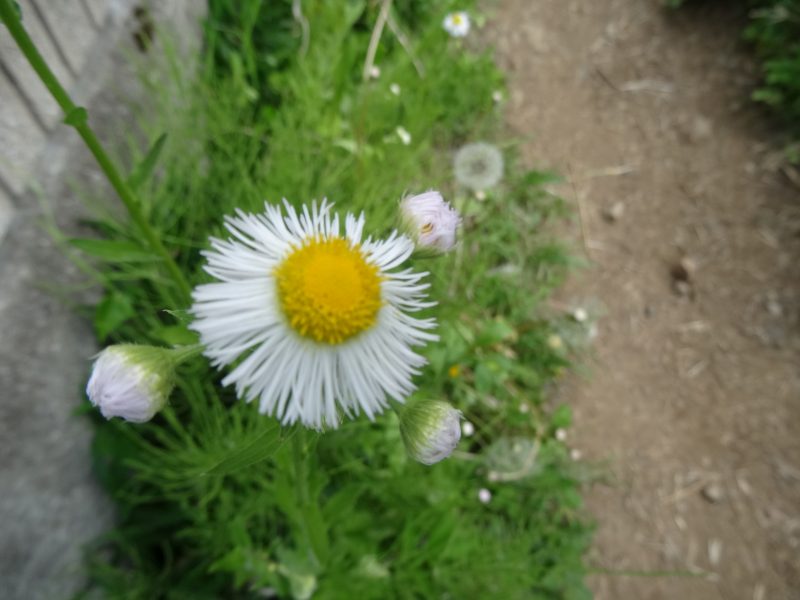 DSC02562